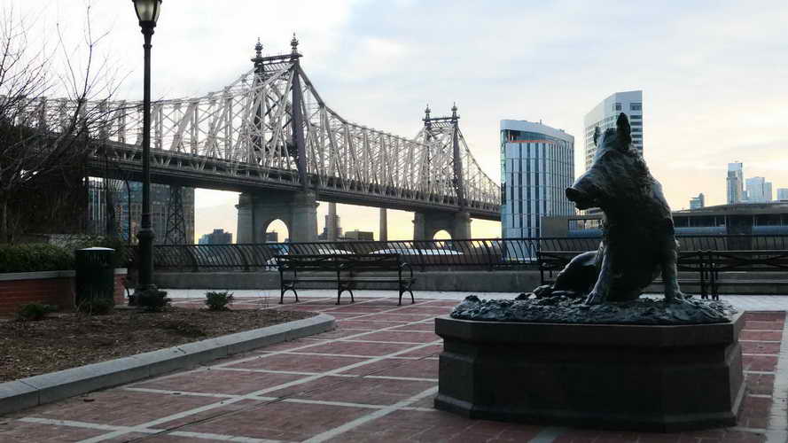 NYC_2020-01-27 07-41-22_P1070722